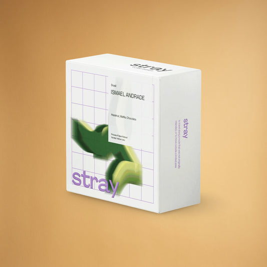 Stray Coffee – Ismael Andrade Yellow Icatu