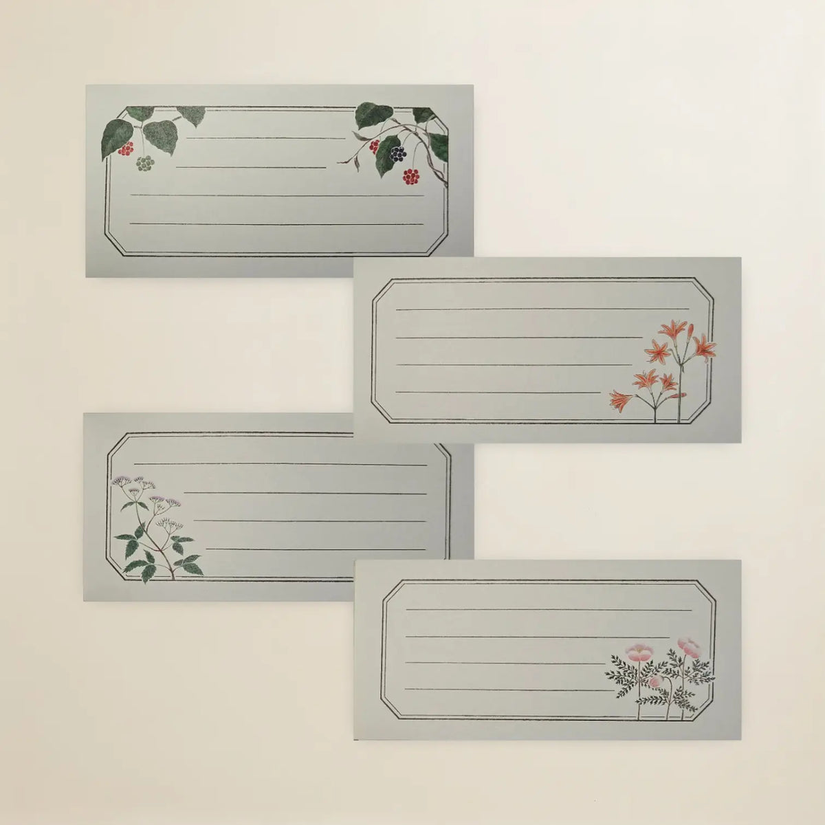Kanone – Yamato Botanical Atlas Letter Paper (Horizontal Lines)