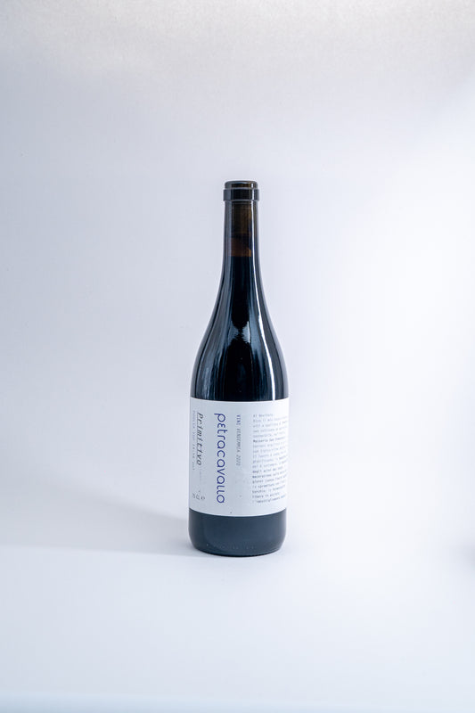 Primitivo 2020