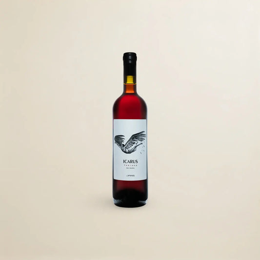 Afianes Icarus Black 2018
